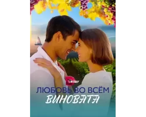 Любовь во всём виновата 1 сезон Любовь во всём виновата 1 сезон